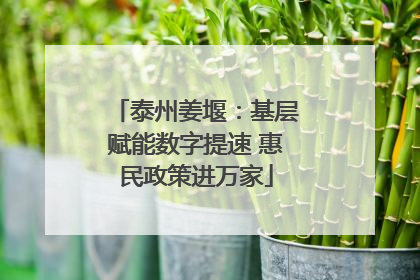 泰州姜堰：基层赋能数字提速 惠民政策进万家