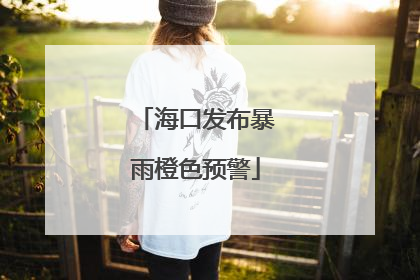海口发布暴雨橙色预警