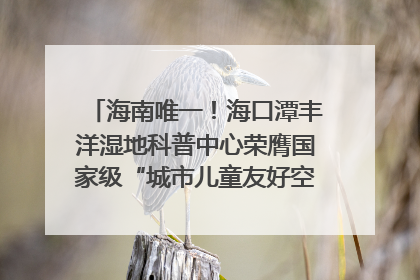 海南唯一！海口潭丰洋湿地科普中心荣膺国家级“城市儿童友好空间建设园区”称号