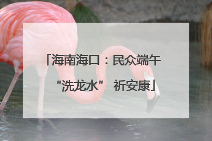 海南海口：民众端午 “洗龙水” 祈安康