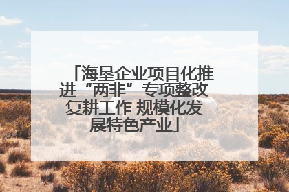 海垦企业项目化推进“两非”专项整改复耕工作 规模化发展特色产业
