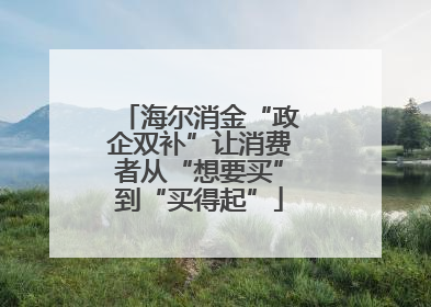 海尔消金“政企双补”让消费者从“想要买”到“买得起”