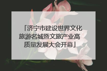 济宁市建设世界文化旅游名城暨文旅产业高质量发展大会开幕