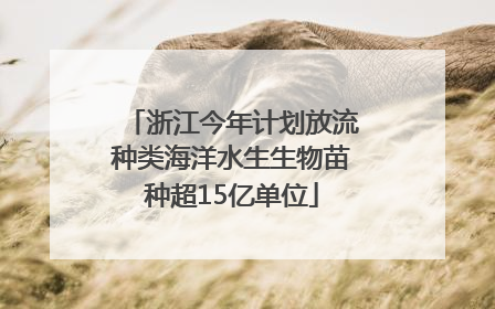 浙江今年计划放流种类海洋水生生物苗种超15亿单位