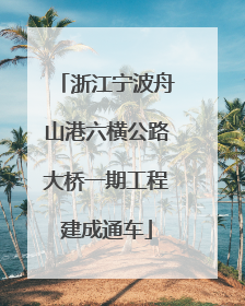浙江宁波舟山港六横公路大桥一期工程建成通车