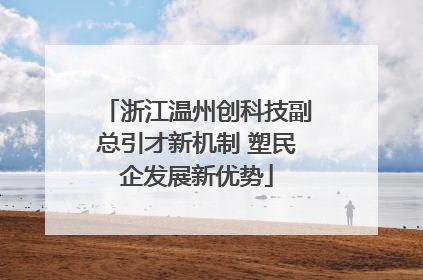 浙江温州创科技副总引才新机制 塑民企发展新优势