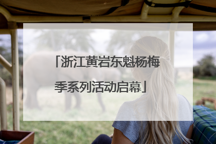 浙江黄岩东魁杨梅季系列活动启幕