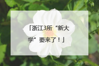 浙江3所“新大学”要来了！