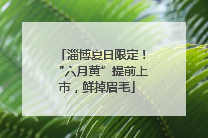 淄博夏日限定！“六月黄”提前上市，鲜掉眉毛