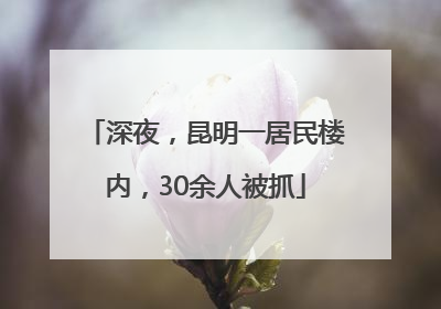 深夜，昆明一居民楼内，30余人被抓