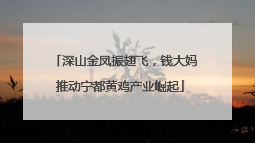深山金凤振翅飞，钱大妈推动宁都黄鸡产业崛起