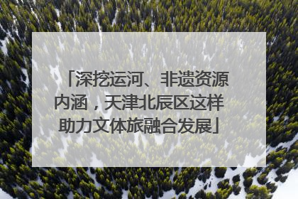 深挖运河、非遗资源内涵，天津北辰区这样助力文体旅融合发展