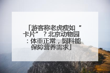游客称老虎瘦如“卡片”？北京动物园：体重正常，饲料能保障营养需求