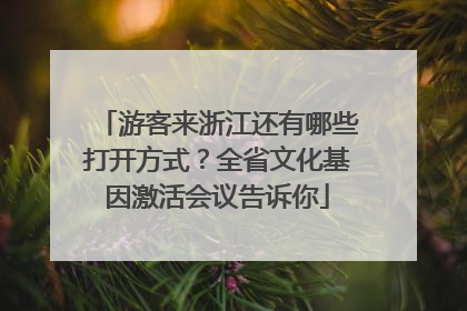 游客来浙江还有哪些打开方式？全省文化基因激活会议告诉你