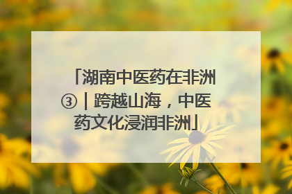 湖南中医药在非洲③｜跨越山海，中医药文化浸润非洲