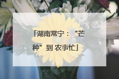 湖南常宁：“芒种”到 农事忙