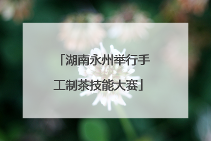 湖南永州举行手工制茶技能大赛