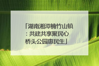 湖南湘潭楠竹山镇：共建共享聚民心 桥头公园惠民生