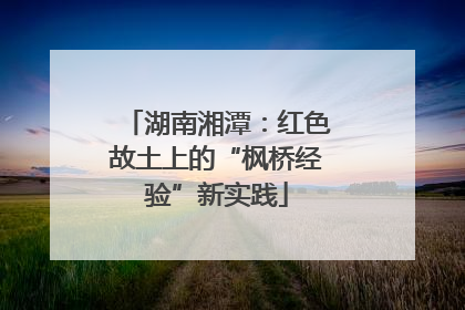 湖南湘潭：红色故土上的“枫桥经验”新实践
