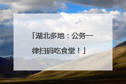 湖北多地：公务一律扫码吃食堂！