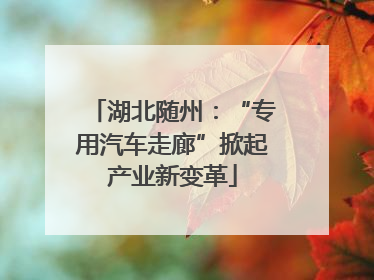 湖北随州：“专用汽车走廊”掀起产业新变革