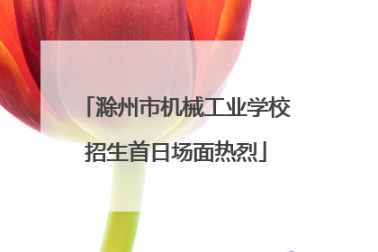滁州市机械工业学校招生首日场面热烈