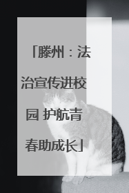 滕州：法治宣传进校园 护航青春助成长