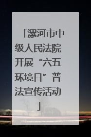 漯河市中级人民法院开展“六五环境日”普法宣传活动