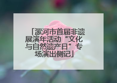 漯河市首届非遗展演年活动“文化与自然遗产日”专场演出侧记