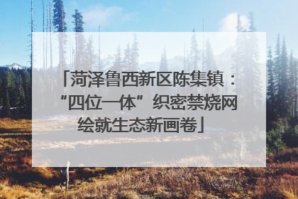 菏泽鲁西新区陈集镇：“四位一体”织密禁烧网 绘就生态新画卷