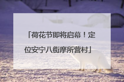 荷花节即将启幕！定位安宁八街摩所营村