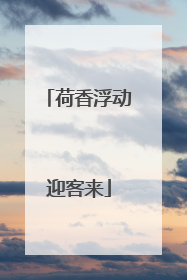 荷香浮动迎客来