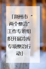 荆州市“两个整治”工作专班组织开展冷库专项整治行动