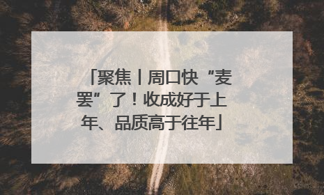 聚焦丨周口快“麦罢”了！收成好于上年、品质高于往年