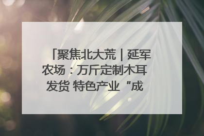 聚焦北大荒｜延军农场：万斤定制木耳发货 特色产业“成绩单”亮眼