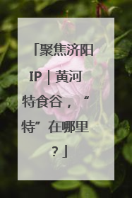 聚焦济阳IP｜黄河特食谷，“特”在哪里？