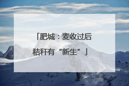 肥城：麦收过后秸秆有“新生”