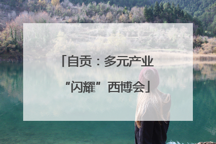 自贡：多元产业“闪耀”西博会