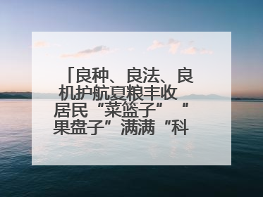 良种、良法、良机护航夏粮丰收 居民“菜篮子”“果盘子”满满“科技范儿”