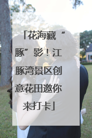 花海藏“豚”影！江豚湾景区创意花田邀你来打卡