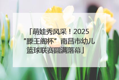 萌娃秀风采！2025“滕王阁杯”南昌市幼儿篮球联赛圆满落幕