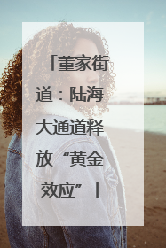 董家街道：陆海大通道释放“黄金效应”
