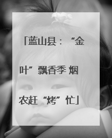 蓝山县：“金叶”飘香季 烟农赶“烤”忙