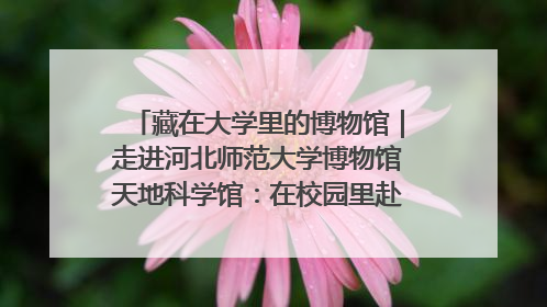 藏在大学里的博物馆｜走进河北师范大学博物馆天地科学馆：在校园里赴一场“宇宙之约”