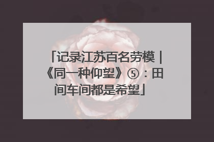 记录江苏百名劳模｜《同一种仰望》⑤：田间车间都是希望