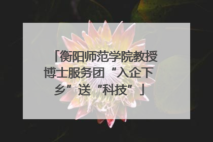 衡阳师范学院教授博士服务团“入企下乡”送“科技”