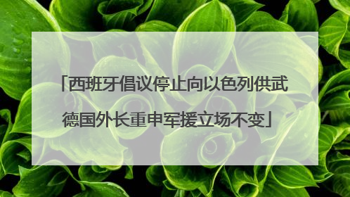 西班牙倡议停止向以色列供武 德国外长重申军援立场不变