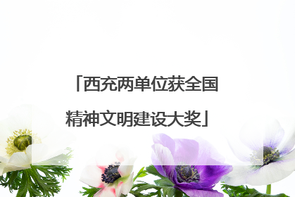 西充两单位获全国精神文明建设大奖