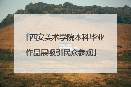 西安美术学院本科毕业作品展吸引民众参观