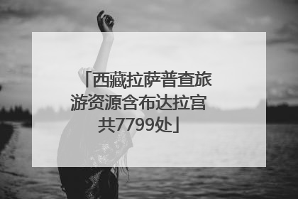 西藏拉萨普查旅游资源含布达拉宫共7799处
